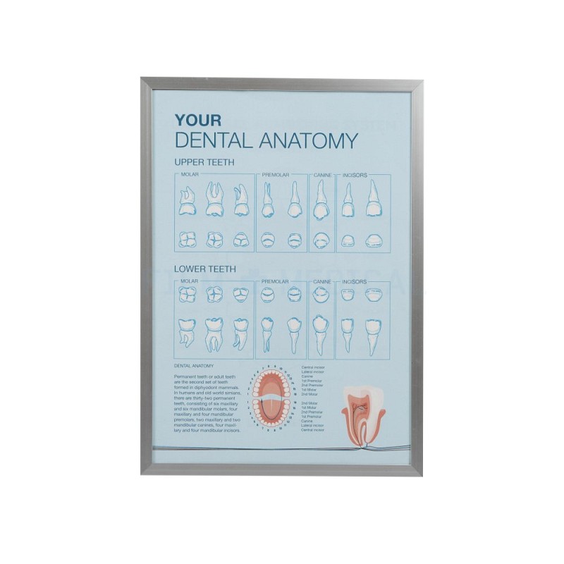 Dental Poster  Generic